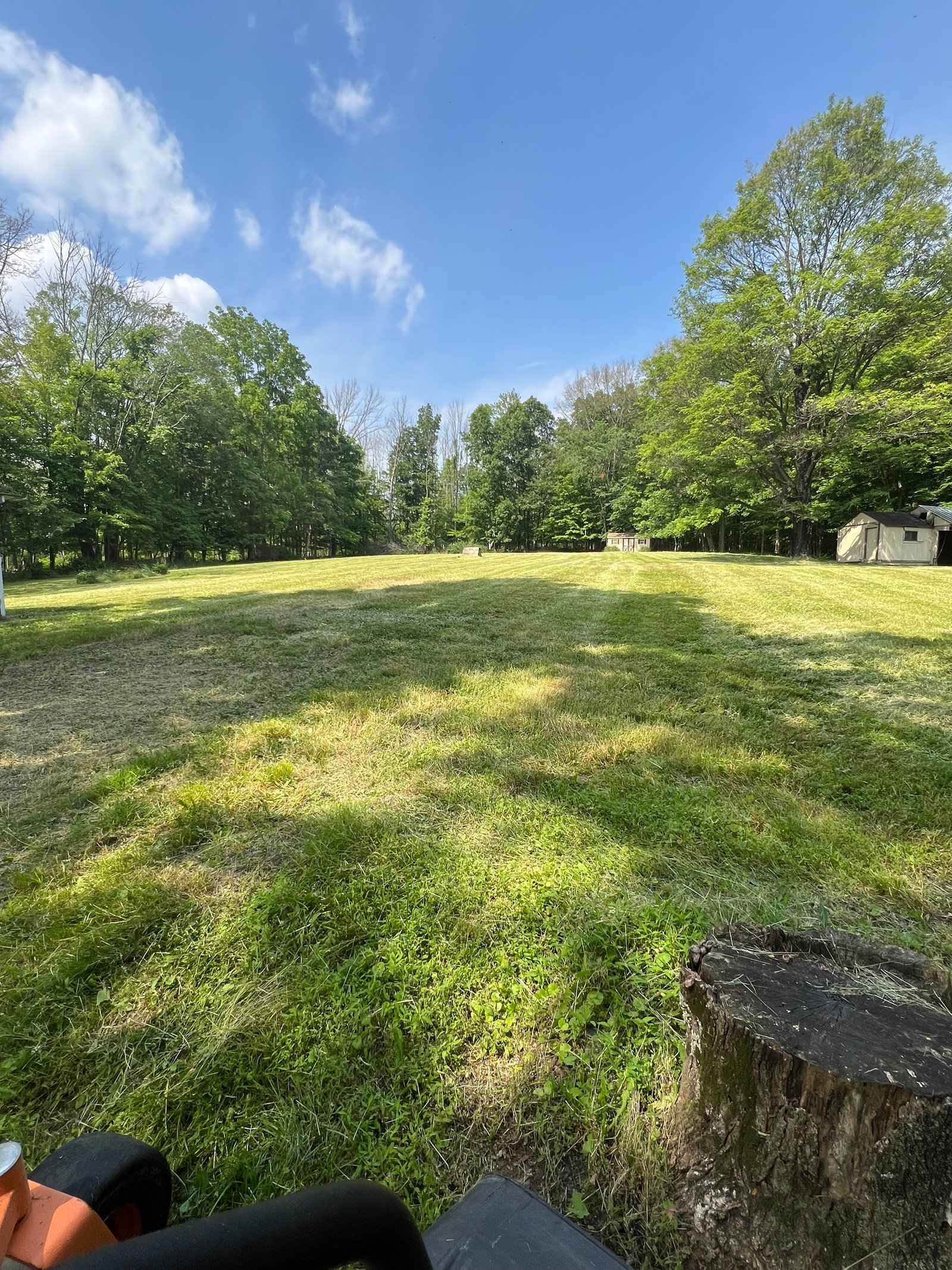 Lawn Cutting & Routine Yard Maintenance project by Atlixco General Construction in Orange County, NY
