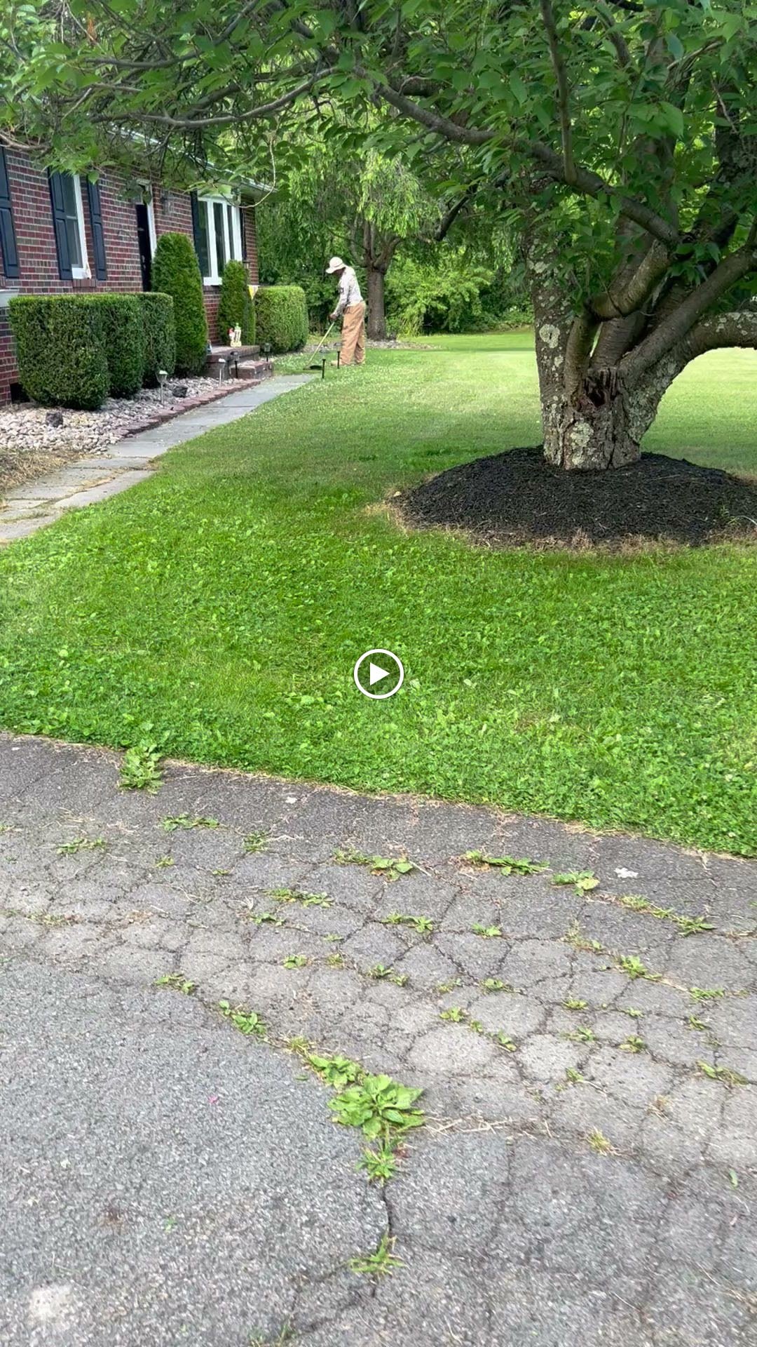 Shrub, Hedge & Landscape Trimming Service project by Atlixco General Construction in Orange County, NY